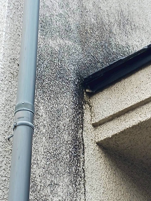 劣化したモルタル壁